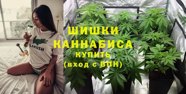 индика Инсар