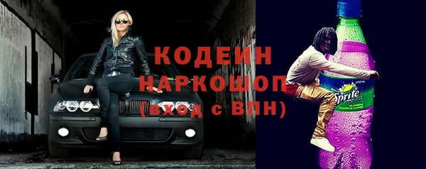 индика Инсар