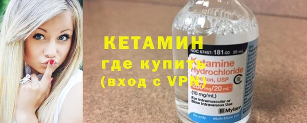 индика Инсар