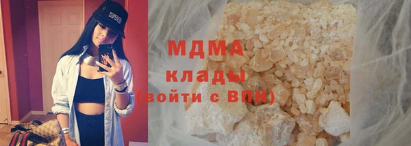 индика Инсар