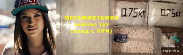индика Инсар