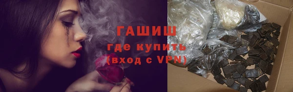 индика Инсар