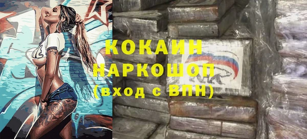 индика Инсар