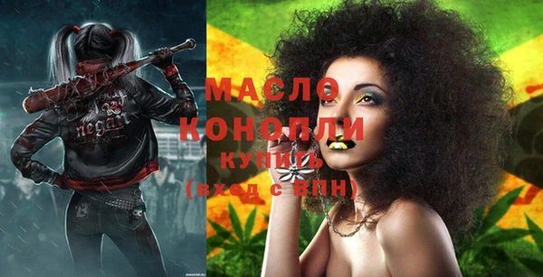 индика Инсар