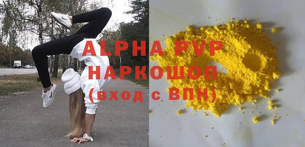 индика Инсар