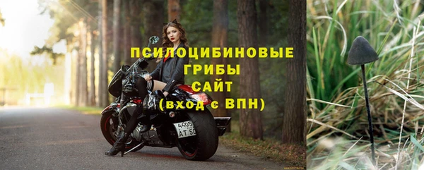 индика Инсар