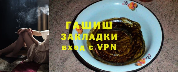индика Инсар
