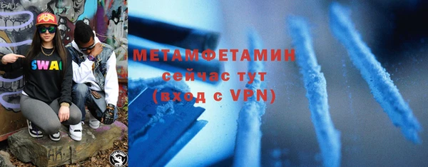 индика Инсар