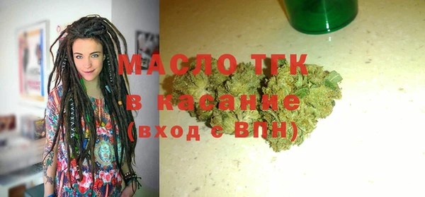 индика Инсар