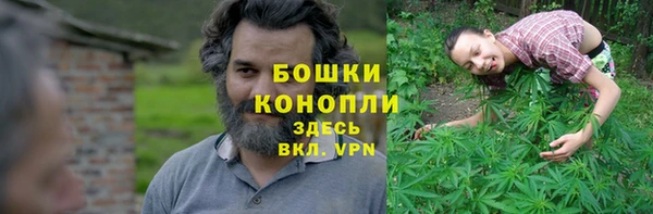 индика Инсар