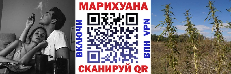 МАРИХУАНА гибрид  Купить где  Калининск 